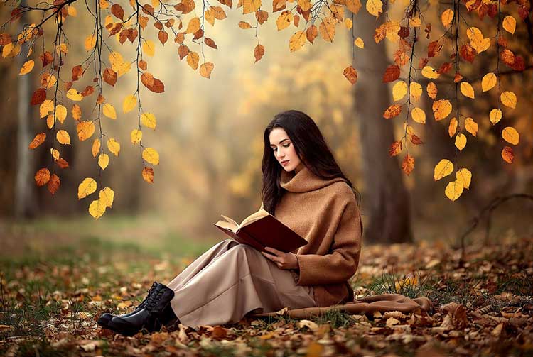 ادبیات رمان