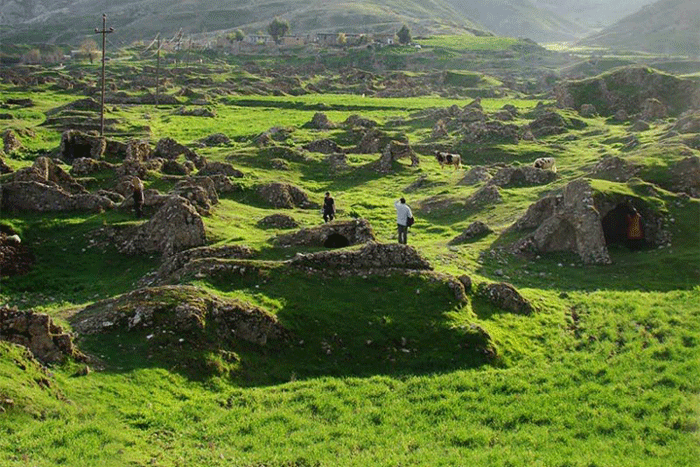 مرتع سرسبز