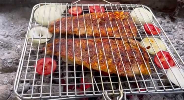 آشپزی ماهی کباب