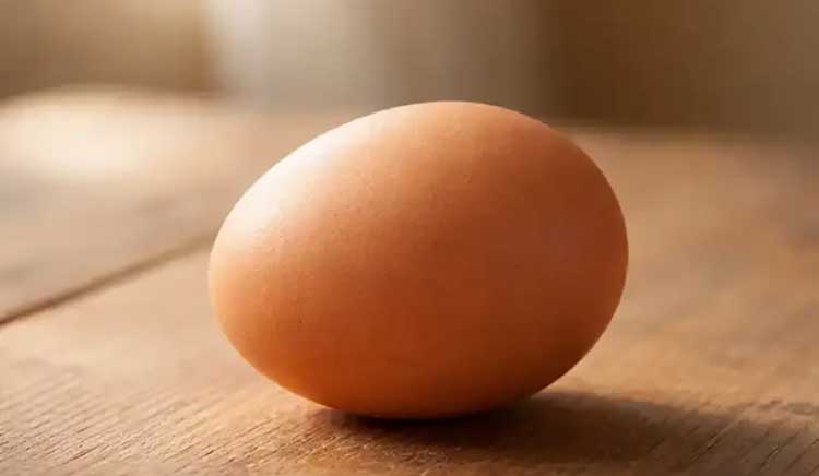 آموزشی تخم مرغ