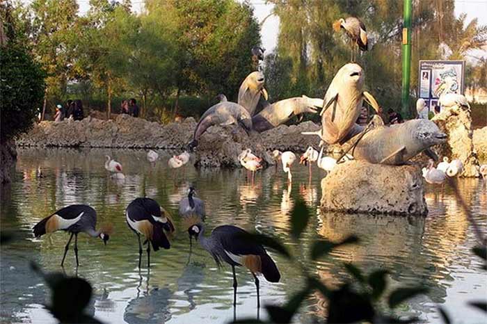 باغ پرندگان کیش