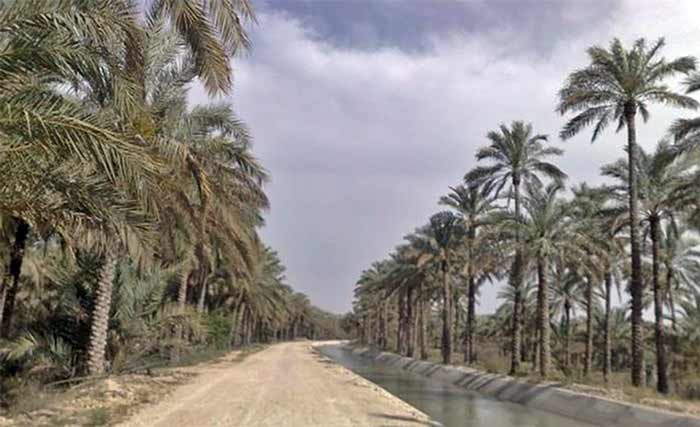 گردشگری بوشهر نخلستانهای دشتستان