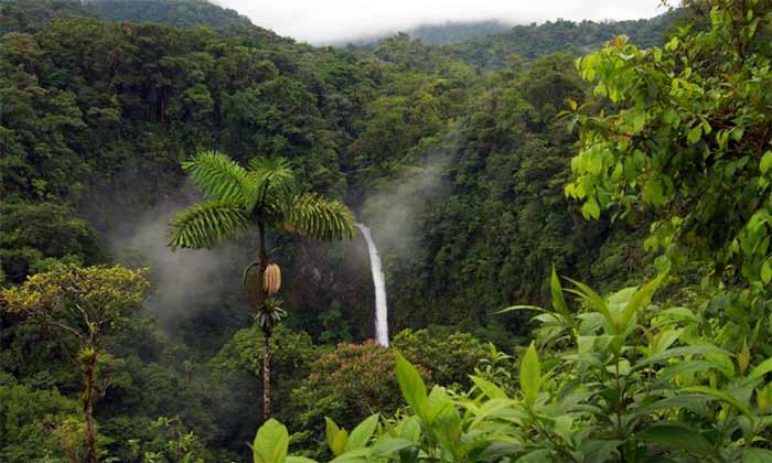 جنگل‌های هیرکانی