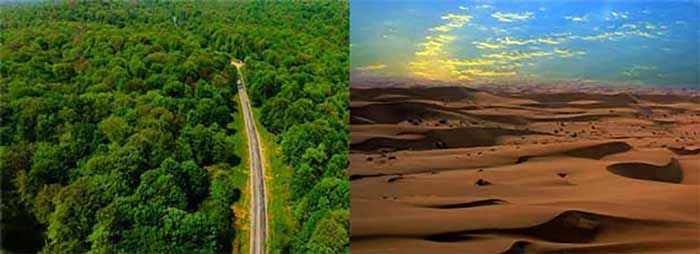 دشت لوت و جنگل های هیرکانی 