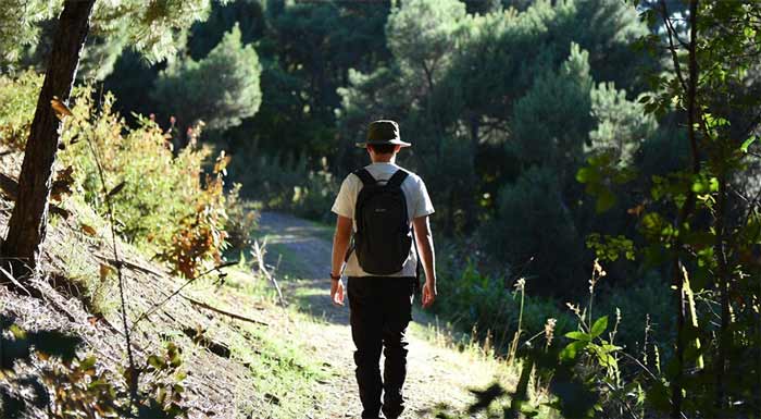 زندگی سالم پیادهروی روزانه