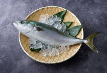 غذاهای خیابانی ژاپن: 4 مستند غذاهای چندش، زنده و عجیب
