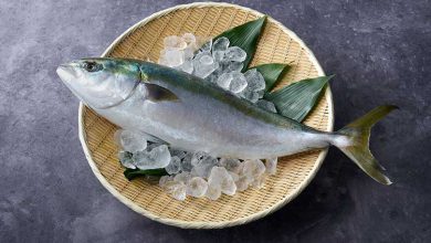 غذاهای خیابانی ژاپن: 4 مستند غذاهای چندش، زنده و عجیب