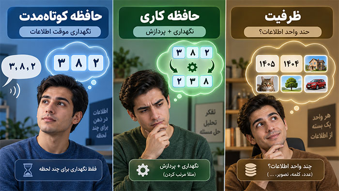حافظه کوتاه‌مدت، حافظه کاری و ظرفیت